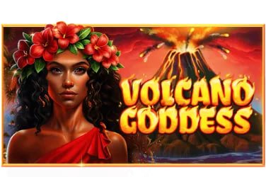 bvbx login